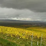 In De Goldisch Luft