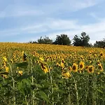 In De Goldisch Luft Gau-Algesheim