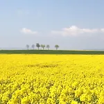 Lejlighed In De Goldisch Luft