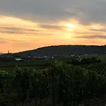 Lejlighed In De Goldisch Luft Gau-Algesheim