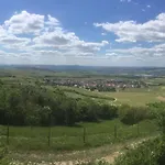 In De Goldisch Luft Gau-Algesheim