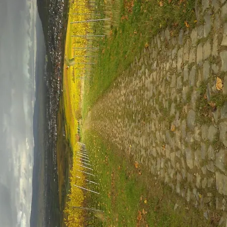 In De Goldisch Luft Gau-Algesheim