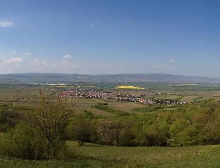 In De Goldisch Luft Gau-Algesheim