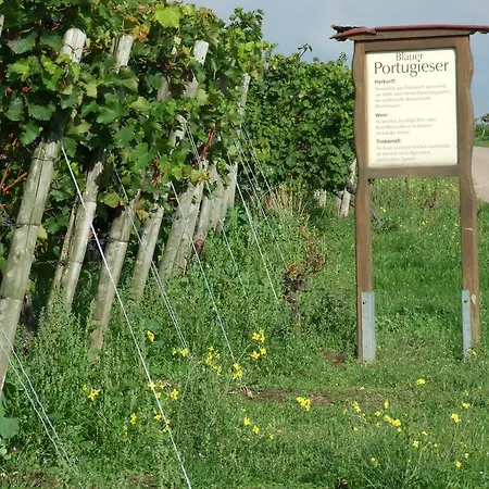 In De Goldisch Luft Gau-Algesheim