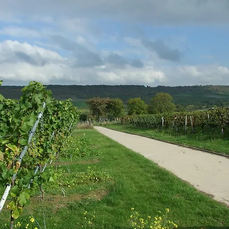 Appartement In De Goldisch Luft Gau-Algesheim