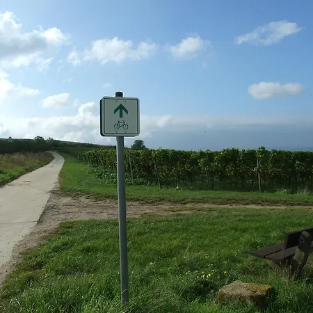 Apartamento In De Goldisch Luft *