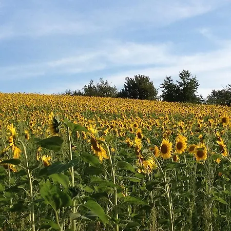 In De Goldisch Luft Gau-Algesheim