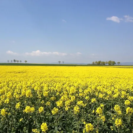 Διαμέρισμα In De Goldisch Luft *