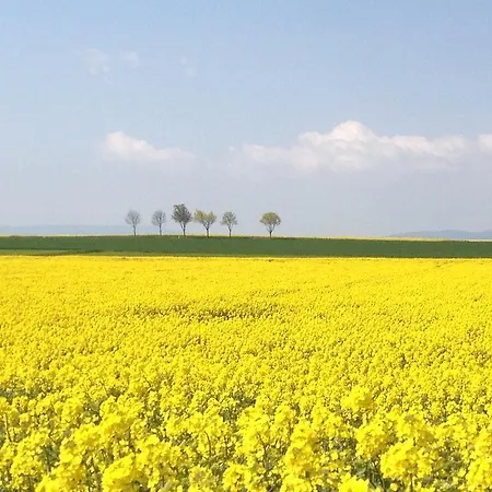 Διαμέρισμα In De Goldisch Luft