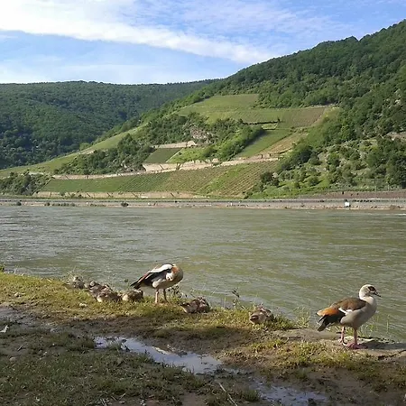 Διαμέρισμα In De Goldisch Luft