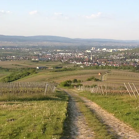 In De Goldisch Luft *