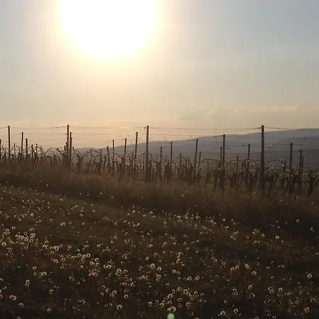 Apartamento In De Goldisch Luft