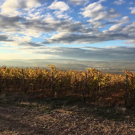 Apartamento In De Goldisch Luft