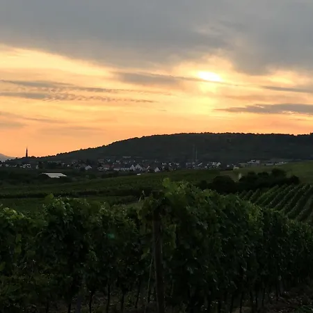 Apartman In De Goldisch Luft Gau-Algesheim