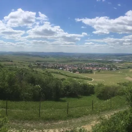 In De Goldisch Luft Gau-Algesheim
