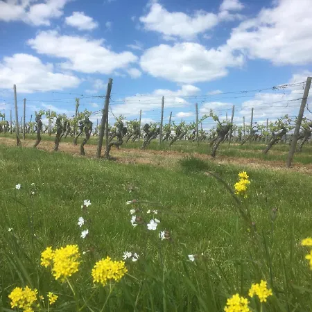 Apartman In De Goldisch Luft *