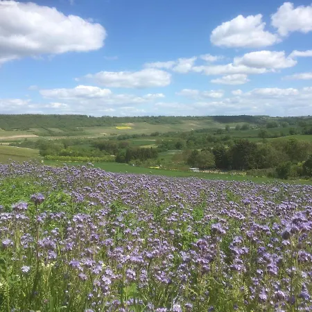 In De Goldisch Luft Gau-Algesheim