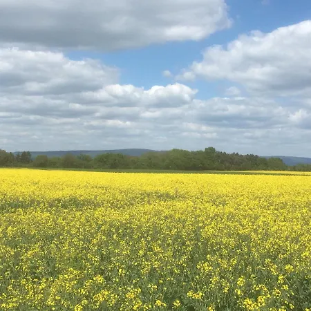 In De Goldisch Luft Apartman