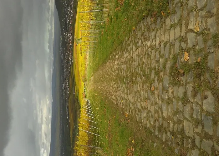 In De Goldisch Luft Gau-Algesheim