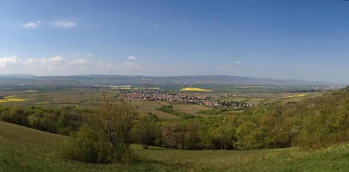In De Goldisch Luft Gau-Algesheim
