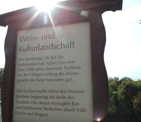 아파트 In De Goldisch Luft Gau-Algesheim