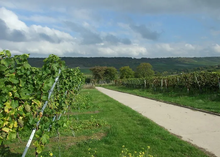 아파트 In De Goldisch Luft Gau-Algesheim