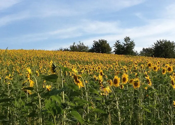 In De Goldisch Luft Gau-Algesheim