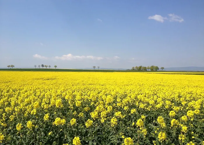 아파트 In De Goldisch Luft *