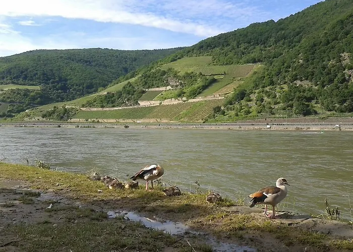 아파트 In De Goldisch Luft