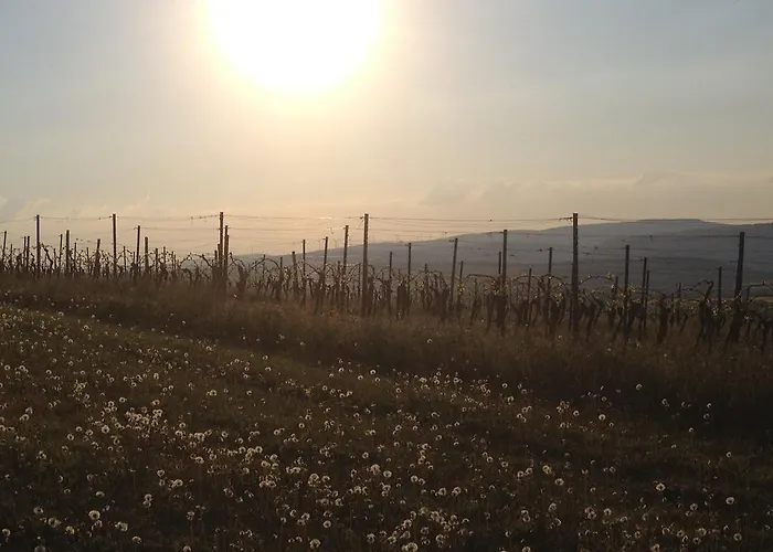 아파트 In De Goldisch Luft