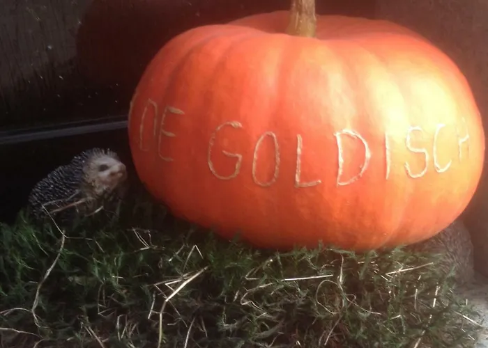 아파트 In De Goldisch Luft