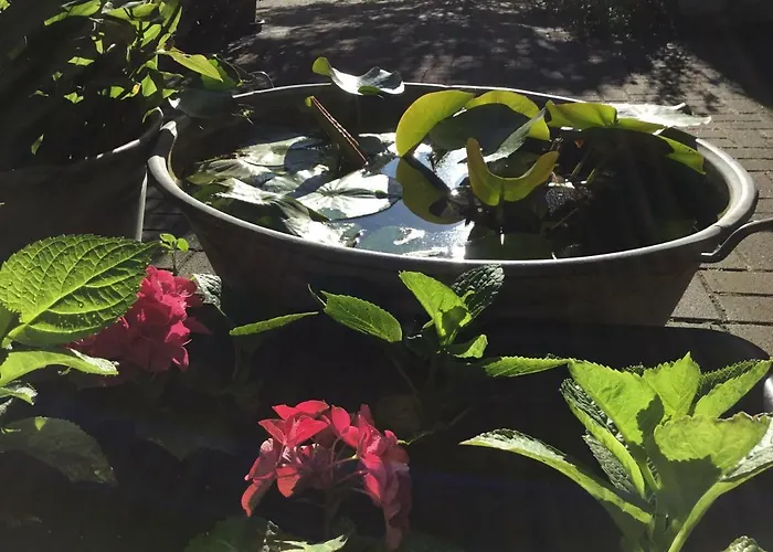 In De Goldisch Luft * Gau-Algesheim