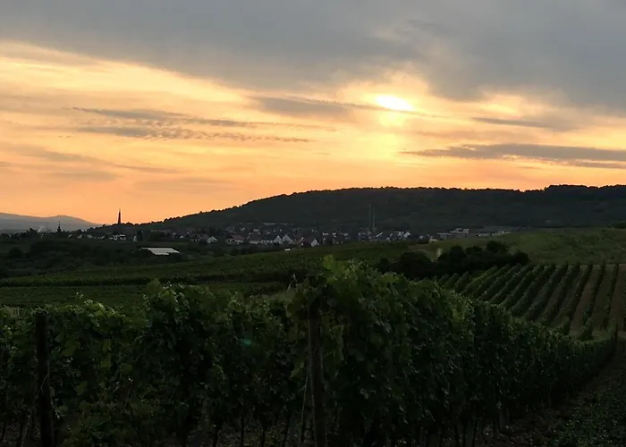 아파트 In De Goldisch Luft Gau-Algesheim