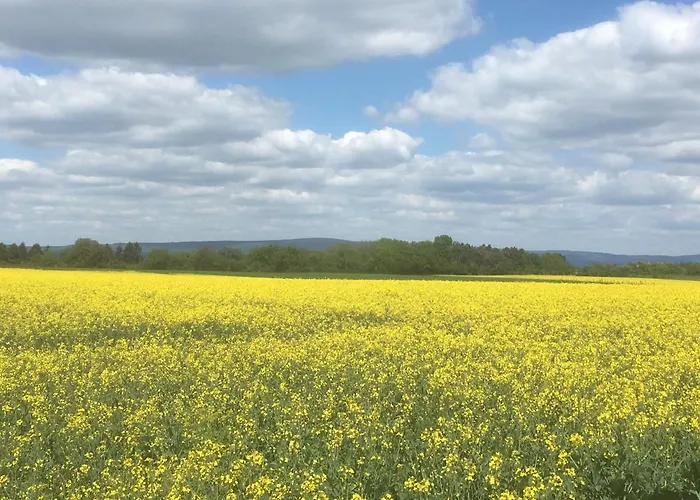 In De Goldisch Luft 아파트